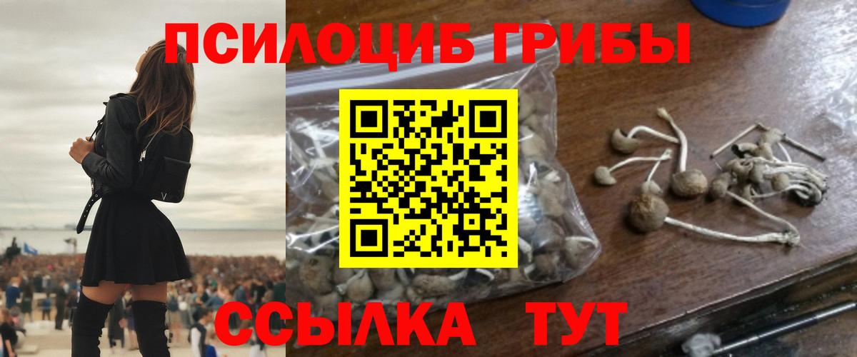 Псилоцибиновые грибы ЛСД  Вход с VPN  Видное 